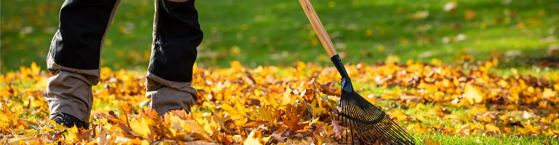 Gartengeräte - Mann harkt Laub Gartengeräte - Mann harkt Laub